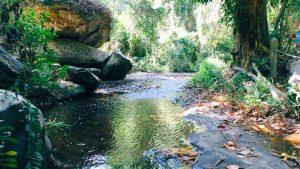 Kbal Spean_ Where history flows in the river