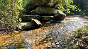 Unlock Cambodia’s Wonders A Day of Splendor at Banteay Srei and Kbal Spean